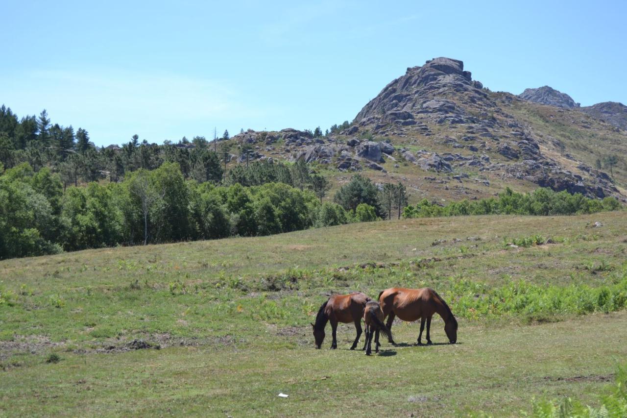 Casas De Xisto, Branda Da Aveleira Villa Melgaço Buitenkant foto
